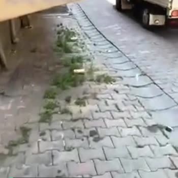 Küçükçekmece Belediyesi Sokağımız Çöplüklerle Dolu
