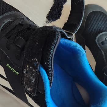 Kısa Sürede Yıpranan Ayakkabı ve Müşteri Hizmetleri Deneyimi