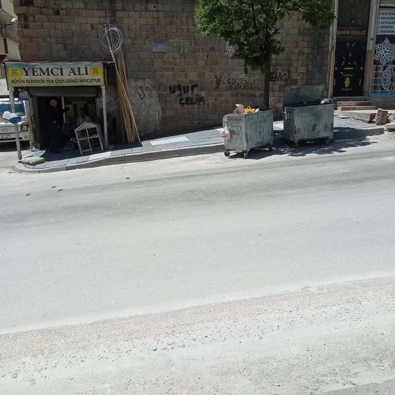 Çöp Konteynerinin Yanlış Yerde Olmasından Kaynaklanan Koku Ve Sinek Sorunu