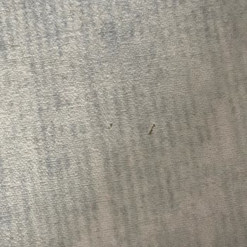 Satın Aldığım Halı 3 Ayda Deforme Oldu, Firma Sorumluluk Almadı