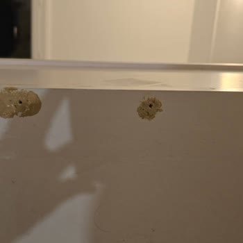Yurtdışından Sipariş Ettiğim Mobilyalarda Ölçü Ve Kalite Sorunu, Aldatıcı Hizmet
