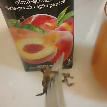 Juss Meyve Suyunda Karşılaşılan Beklenmedik Yabancı Madde