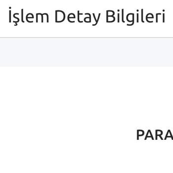 Hesabımda Kalan Parama Ulaşamıyorum, Giriş Sorunu Ve İletişimsizlik