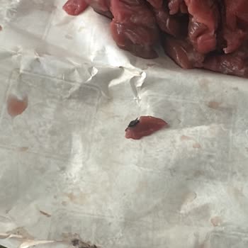 Namsan Kasapta Bozuk Ürün Ve İlgisiz Tavırla Karşılaştım