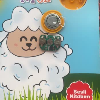 Bebek Kitabındaki Güvenlik Eksikliği Ve Müşteri Hizmetlerinde Yaşanan Sorun