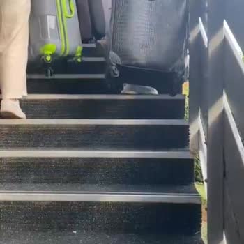 Rehber Ve Tur Deneyimi Hayal Kırıklığı Yarattı