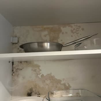 Narven Termal Kasaba'da Hijyen Ve Hizmette Büyük Hayal Kırıklığı!