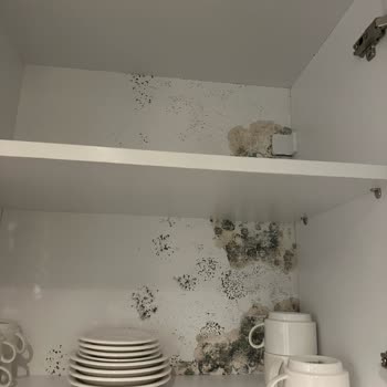 Narven Termal Kasaba'da Hijyen Ve Hizmette Büyük Hayal Kırıklığı!