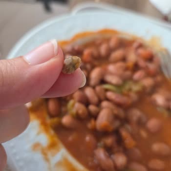 Tamek Barbunya Pilaki'den Çıkan Taş Sağlığımı Tehdit Etti