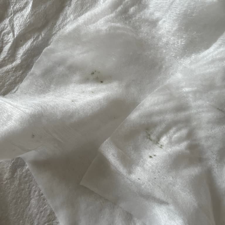 Bebek Islak Mendilinde Küf Ve Kalitesizlik: Sağlık Riski!