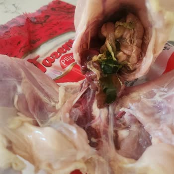 BİM Tazem Piliç Temizlenmemişti!