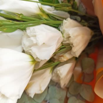 Siparişim Solmuş Ve Farklı Çiçeklerle Geldi, Çözüm Sunulmadı