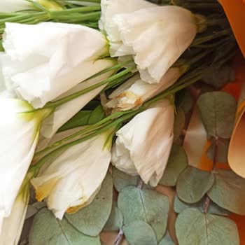 Siparişim Solmuş Ve Farklı Çiçeklerle Geldi, Çözüm Sunulmadı