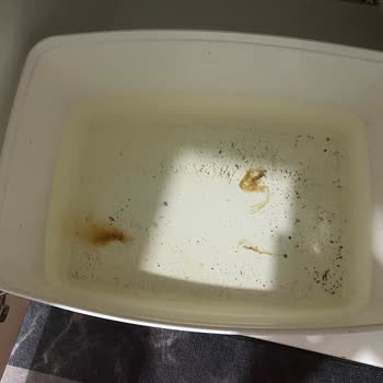 LG Su Arıtma Cihazı Sağlık Sorunları Ve Servis İlgisizliği