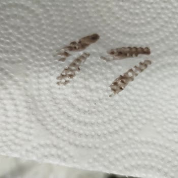 Aldığım Ruj Kısa Sürede Küflendi Ve Kötü Kokuyor