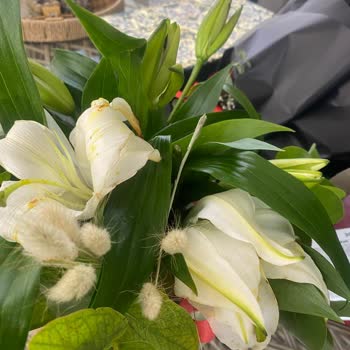 Yanlış Ve Kalitesiz Ürün Teslimatı, Yetersiz Müşteri Hizmeti