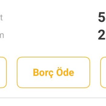 Kredi Kartı Borcum Yanlış Gösteriliyor, Müşteri Hizmetleri Yardımcı Olmuyor