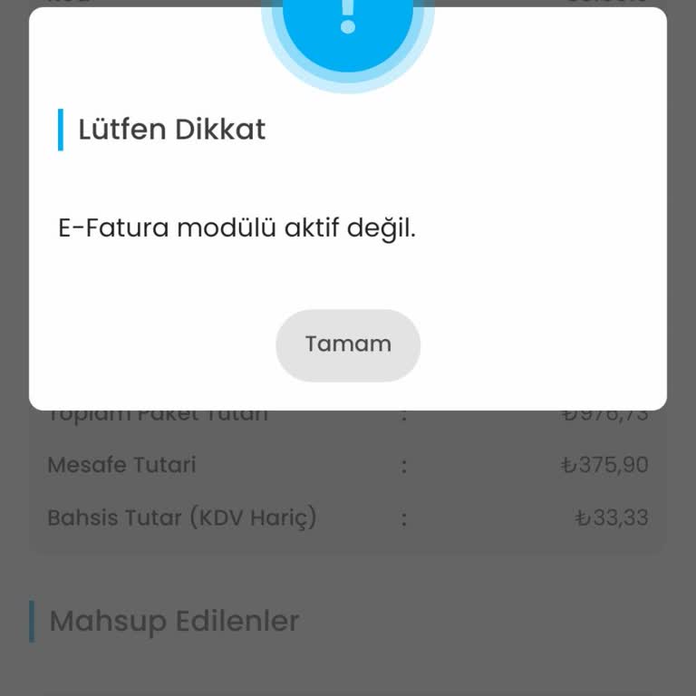 E-Fatura Modülünün Aktif Olmaması Ve Sorunun Çözülememesi