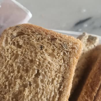 Küflü Ekmek Satışı Nedeniyle Mağduriyet Ve Denetim Eksikliği