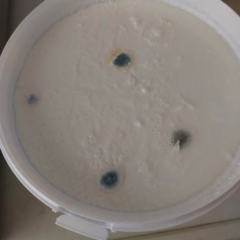 Tarihi Geçmemiş Yoğurt Küflü Çıktı, Sağlıksız Koşullar Endişesi