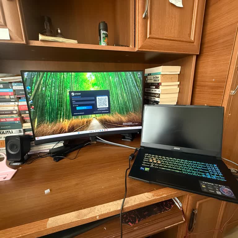 MSI Katana 17 Laptopta Ekran Aşırı Karanlık Ve Görüntü Sorunu