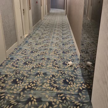 Otelin Danışma Ve Misafir İlişkilerinde Yaşanan Memnuniyetsizlik