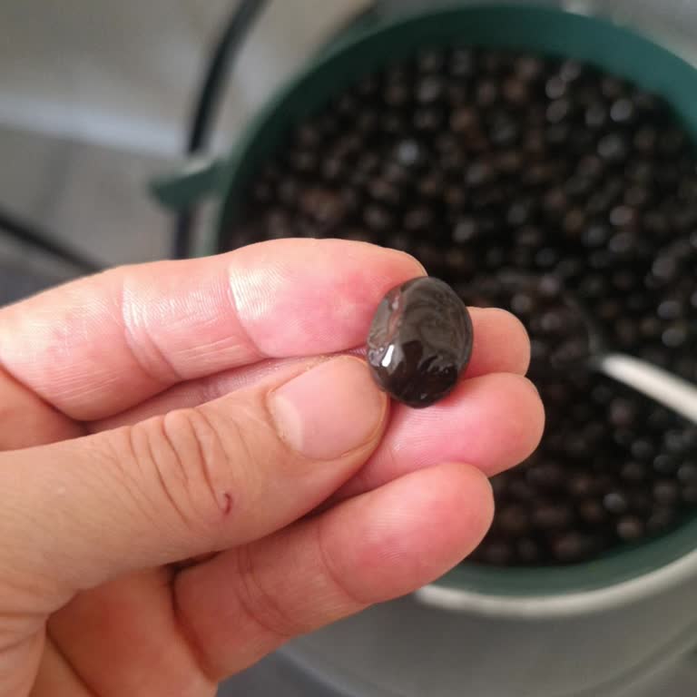 Aldığım Zeytin Miktarı Ve Müşteri Hizmetleri Hayal Kırıklığı Yarattı