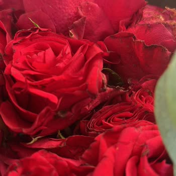 Sipariş Edilen Ürünlerin Görselden Farklı ve Hatalı Gönderilmesi