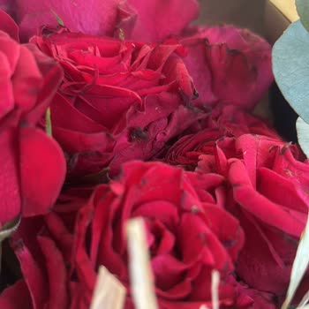 Sipariş Edilen Ürünlerin Görselden Farklı ve Hatalı Gönderilmesi