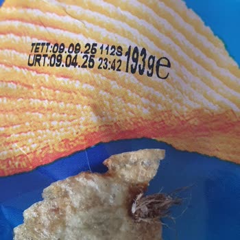 Cips Paketinden Böcek Çıkması: Sağlığımız Tehlikede!