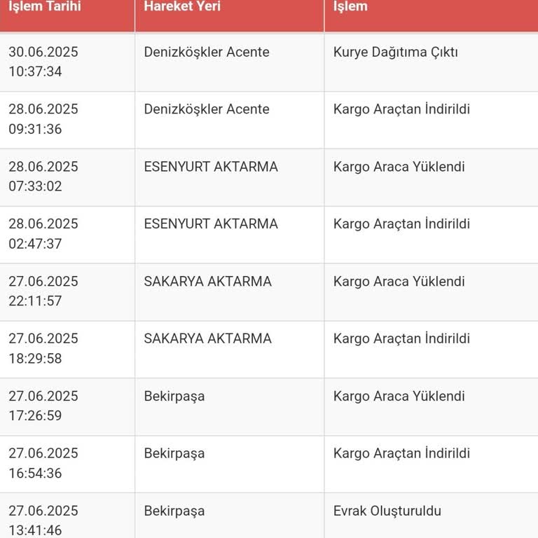 Teslim Edilmeyen Kargo Ve Yetersiz Bilgilendirme Mağduriyeti