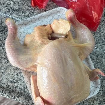 Şenpiliç Paketin İçinden Bağırsak Çıkması Şaşkınlığı