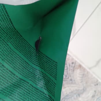 Bayat Ve Yırtık Mama Paketi Hayvanımı Mağdur Etti