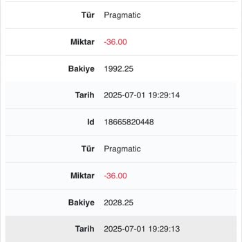 Kazancım Hesabımdan Eksiltildi Ve Hesabım Silindi
