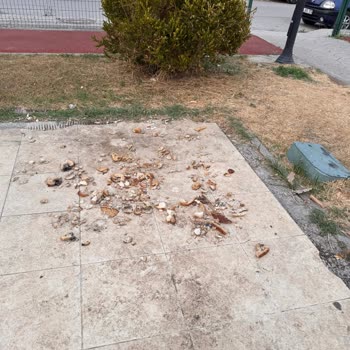 Çocuk Parkında Gece Oluşan Güvensizlik Ve Kirlilik Endişesi