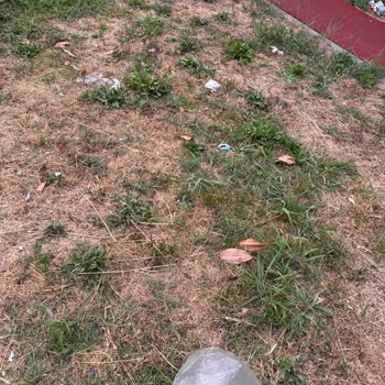 Çocuk Parkında Gece Oluşan Güvensizlik Ve Kirlilik Endişesi