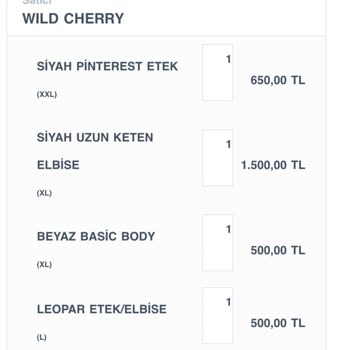 Yanlış Beden Gönderildi İletişime Geçilemiyor Fatura Da Yok