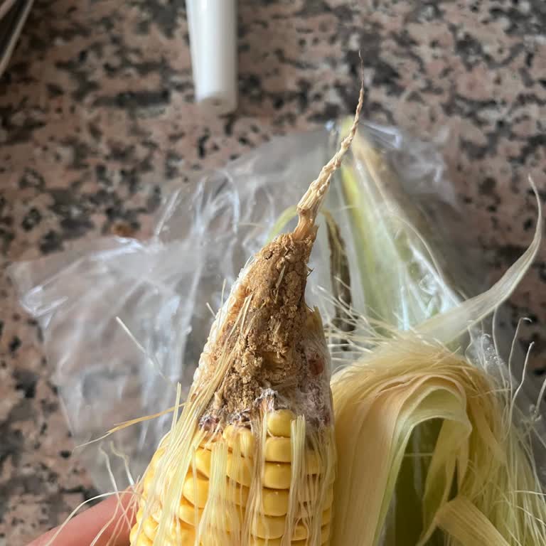 Migros Hemen'den Gelen Bozuk Ve Kötü Kokulu Mısır Hayal Kırıklığı Yarattı