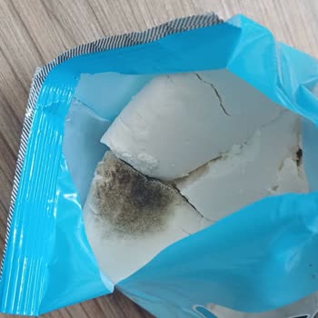 Cebeci Son Kullanım Tarihi Geçmemiş Lor Peynirinde Küf Ve Bozulma Şoku