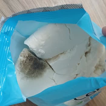 Cebeci Son Kullanım Tarihi Geçmemiş Lor Peynirinde Küf Ve Bozulma Şoku