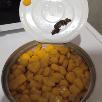 Son Kullanma Tarihi Geçmemiş Üründen Böceğe Benzer Cisim Çıkması