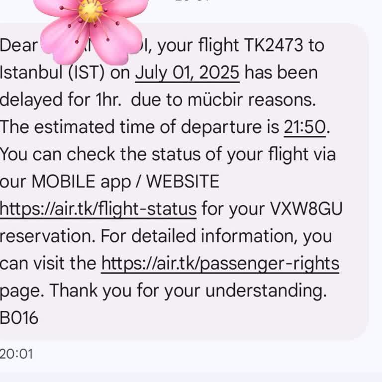 Uçuşun Son Dakika Ertelenmesi Ve Bebeğimle Yaşadığım Mağduriyet