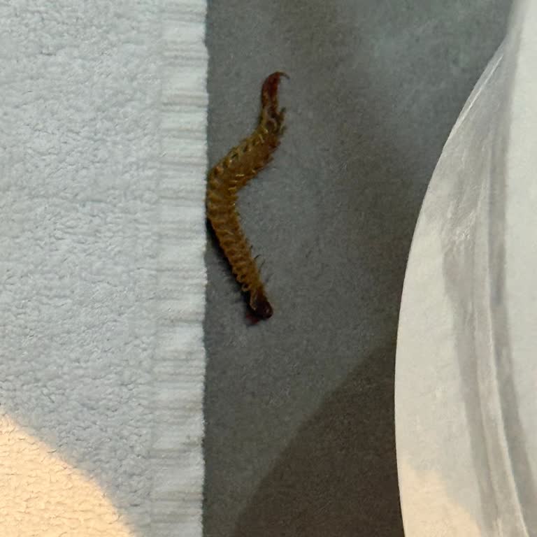 Ramada Resort By Wyndham Pamukkale Thermal Odadan Kırkayak Çıktı