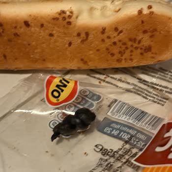 UNO Hotdog Ekmeğinde Hijyen Sorunu Ve İletişim Eksikliği