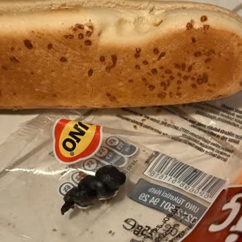 UNO Hotdog Ekmeğinde Hijyen Sorunu Ve İletişim Eksikliği