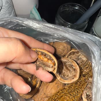 Aldığım Cevizlerin Tamamı Kurtlu Ve Küflü Çıktı