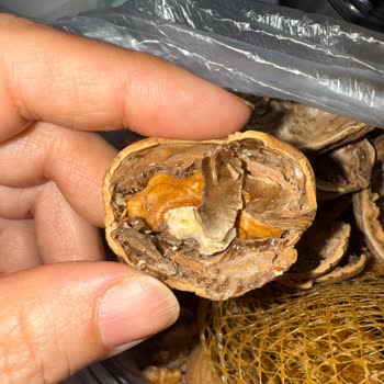 Aldığım Cevizlerin Tamamı Kurtlu Ve Küflü Çıktı