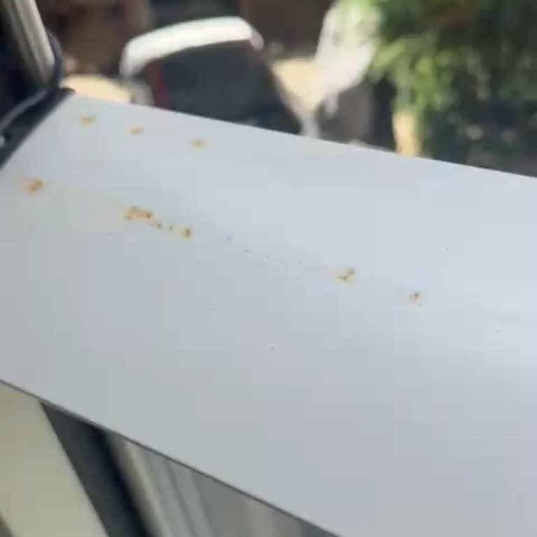 Albert Genau Sekiz Aylık Cam Balkon Paslandı Firma Çözüm Sunmuyor