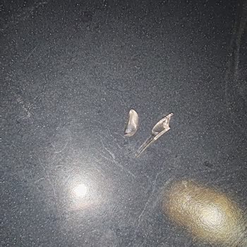 Dondurma İçinden Cam Parçası Çıktı, Çocuğum Tehlike Atlatabilirdi