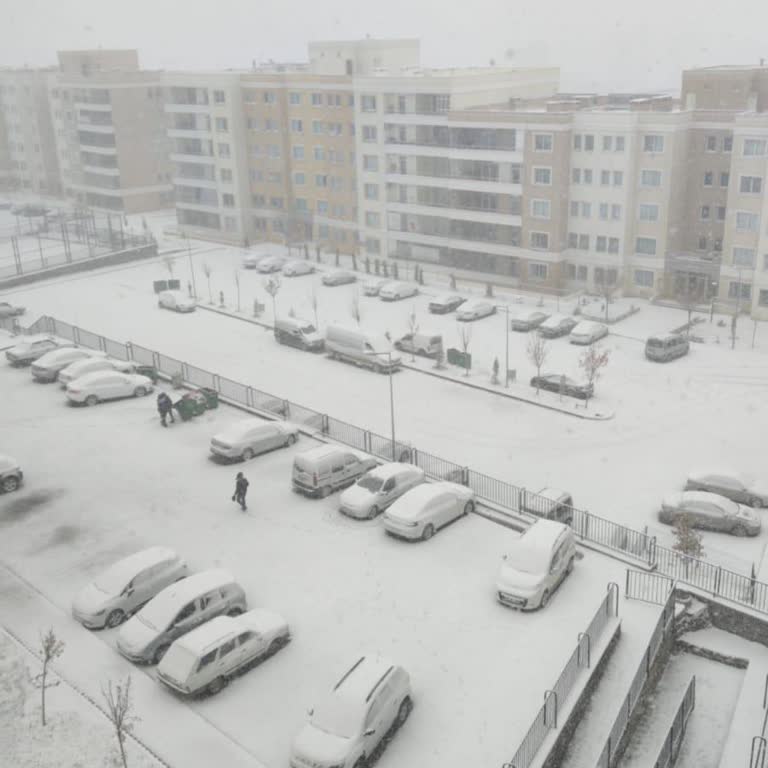 Netspeed Bağlantısı Sonrası İnternetsiz Ve Desteksiz Kaldım